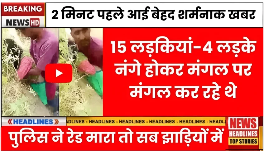 Budget Telecom Plan 2026